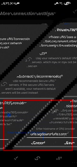 Setting private DNS provider.