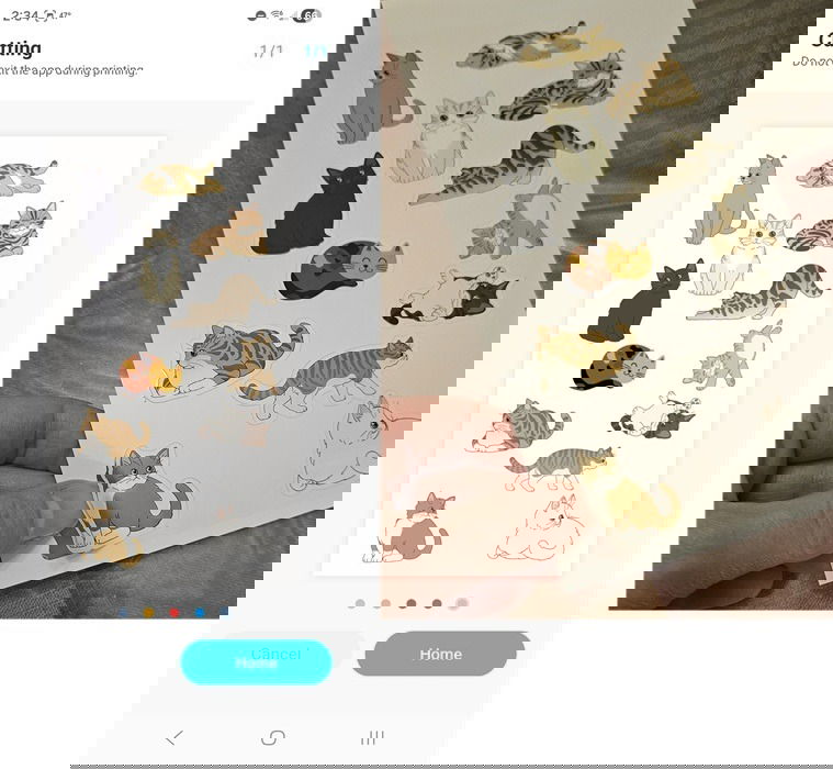 Printing cat stickers from the Liene Photo app.