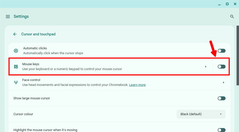 Mouse Keys Settings In Chromebook
