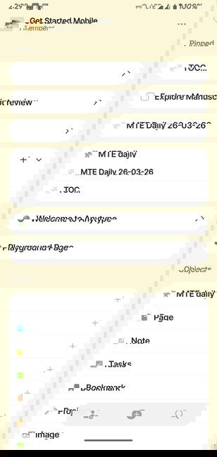 Pinned Tabs And Recent Objects