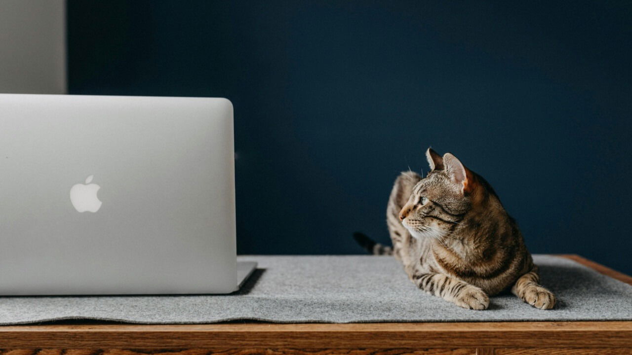 View Folder Size Mac Os Featured