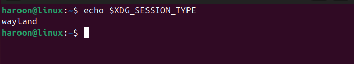 Checking Wayland Session Type