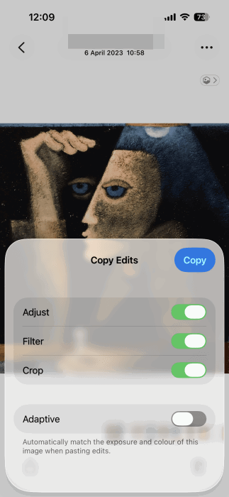 Opting which edits to copy for photo on iPhone.