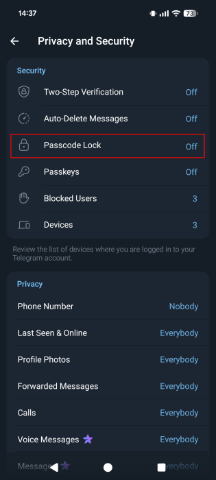 Tapping on "Passcode Lock" option in Telegram Settings. 