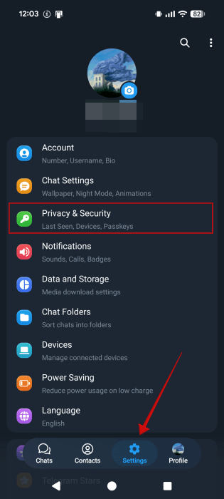 Accessing "Privacy & Security" menu in Telegram Settings. 