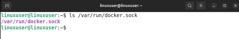 Inspect Docker Unix Socket