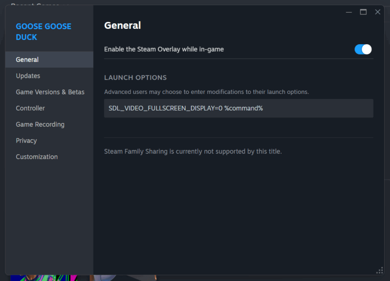Launch Options On Steam