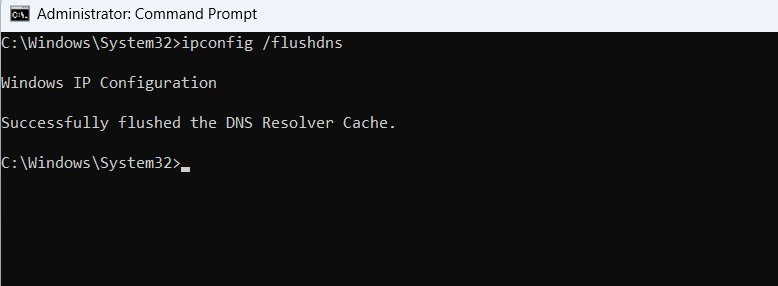 Running DNS flush Command in Windows